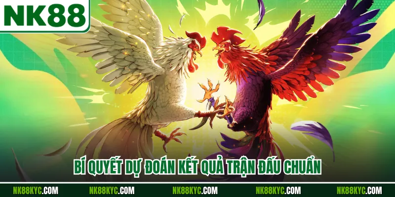 Bí quyết dự đoán kết quả trận đấu chuẩn