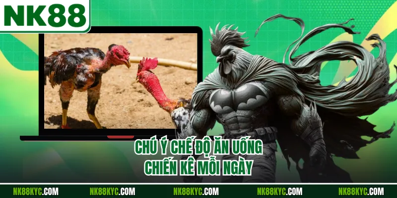 Chú ý chế độ ăn uống chiến kê mỗi ngày