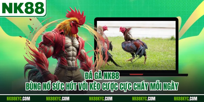 Đá Gà NK88 Bùng Nổ Sức Hút Với Kèo Cược Cực Cháy Mỗi Ngày