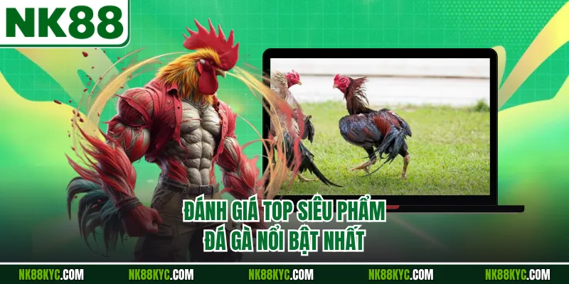 Đánh giá top siêu phẩm đá gà nổi bật nhất