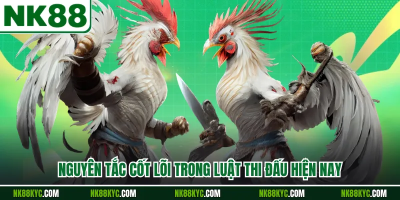 Nguyên tắc cốt lõi trong luật thi đấu hiện nay