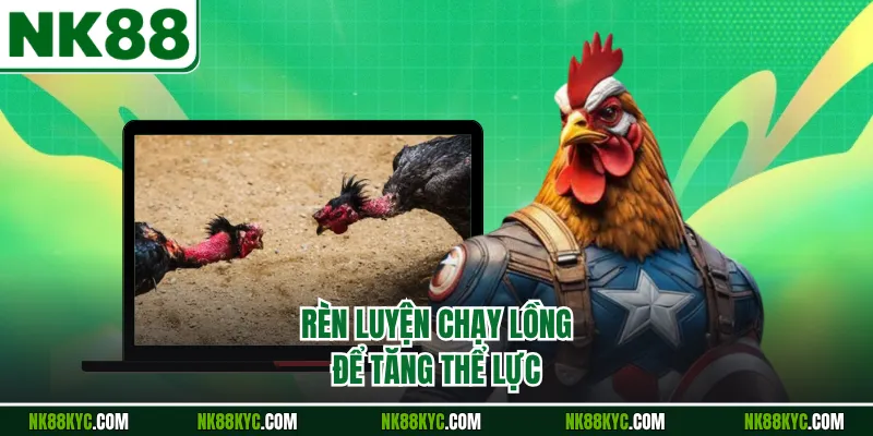 Rèn luyện chạy lồng để tăng thể lực