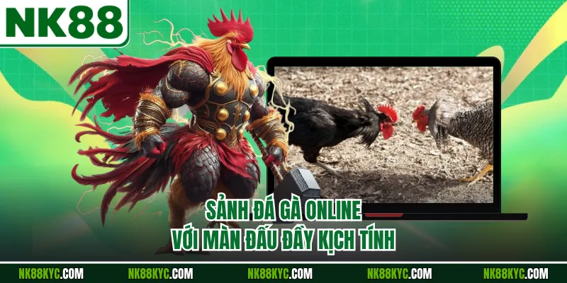 Sảnh đá gà online với màn đấu đầy kịch tính
