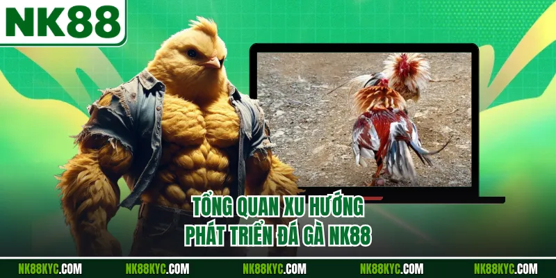 Tổng quan xu hướng phát triển đá gà NK88
