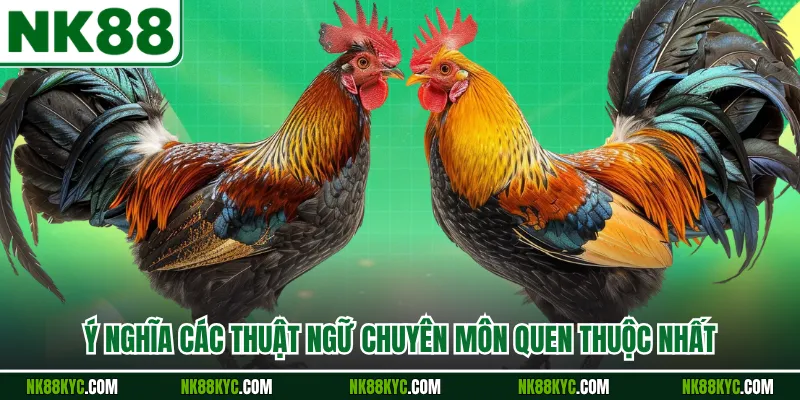 Ý nghĩa các thuật ngữ chuyên môn quen thuộc nhất