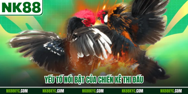 Yếu tố nổi bật của chiến kê thi đấu